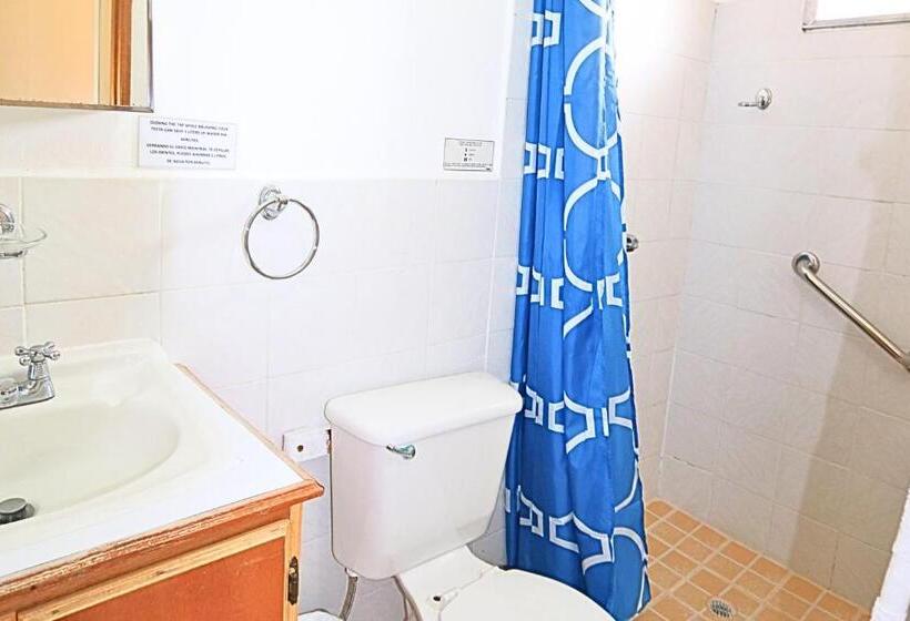 غرفة قياسية, Aparthotel Los Pinos