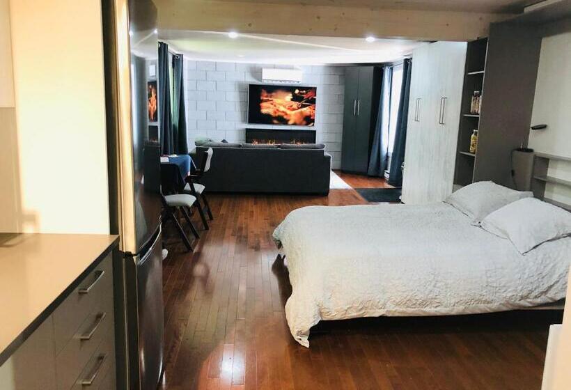 带1个卧室的公寓, Loft Des Suites North Hatley
