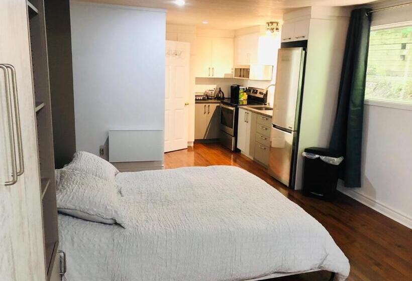 带1个卧室的公寓, Loft Des Suites North Hatley