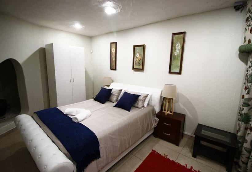 舒适一室公寓, The Plot