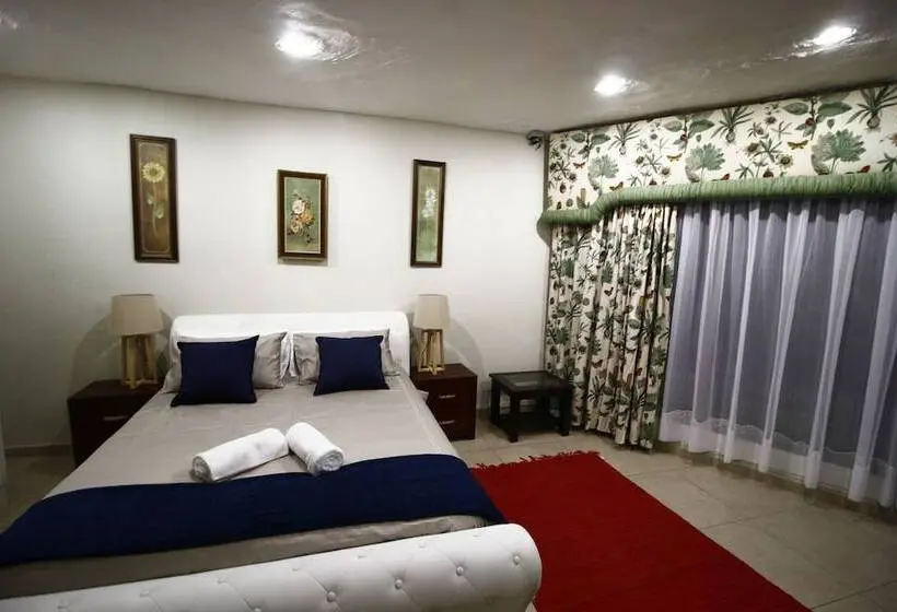 Comfort Studio, The Plot