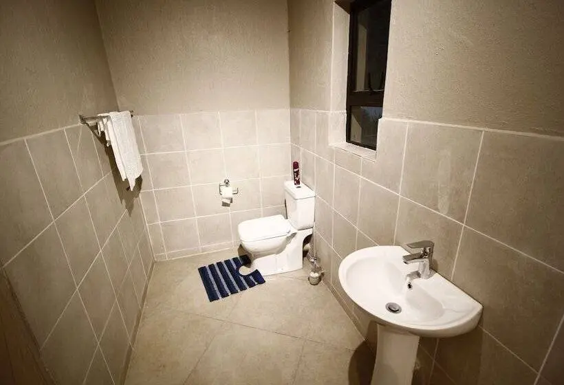 Comfort Studio, The Plot