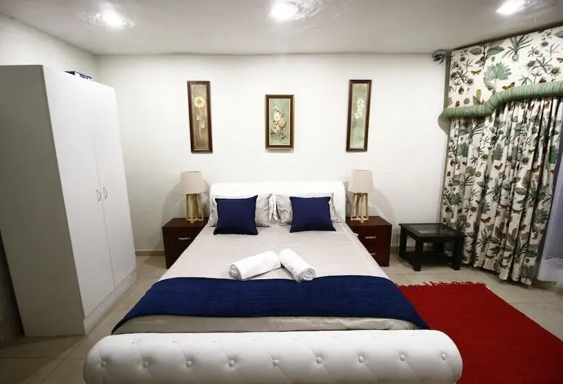 Comfort Studio, The Plot