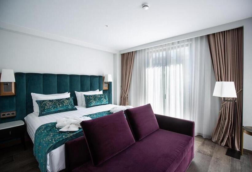 غرفة قياسية, Elke Spa Hotel Superior