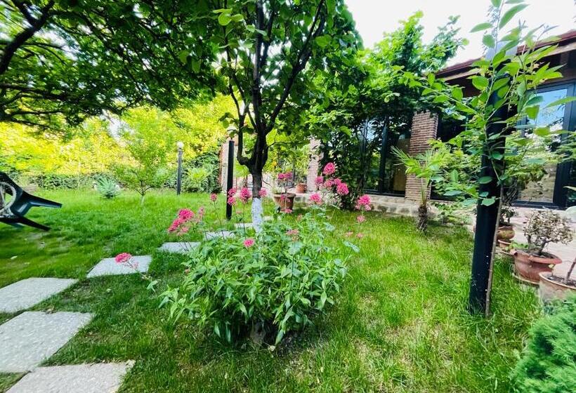 اتاق خانوادگی, Guest House Poligloti
