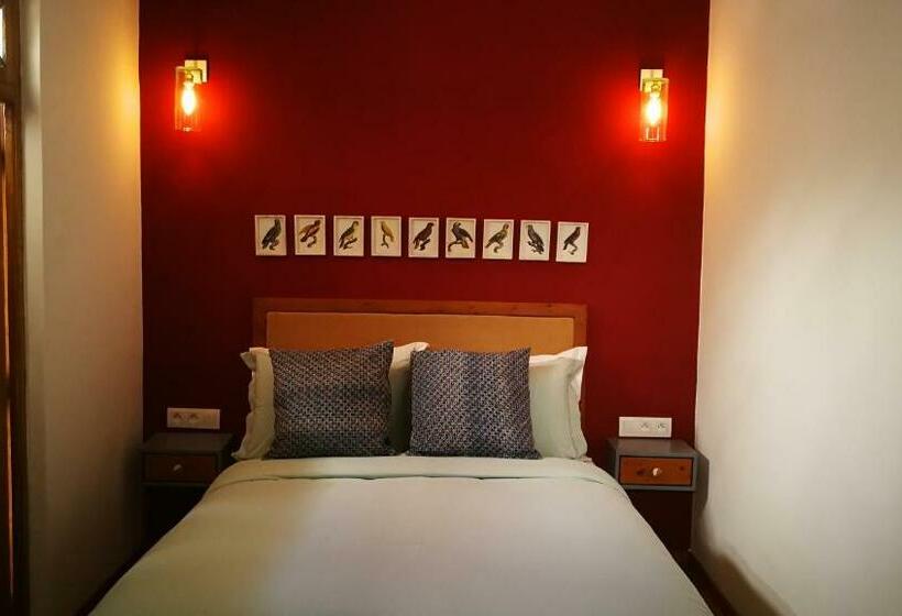 اتاق سوپریور, Dar Korsan