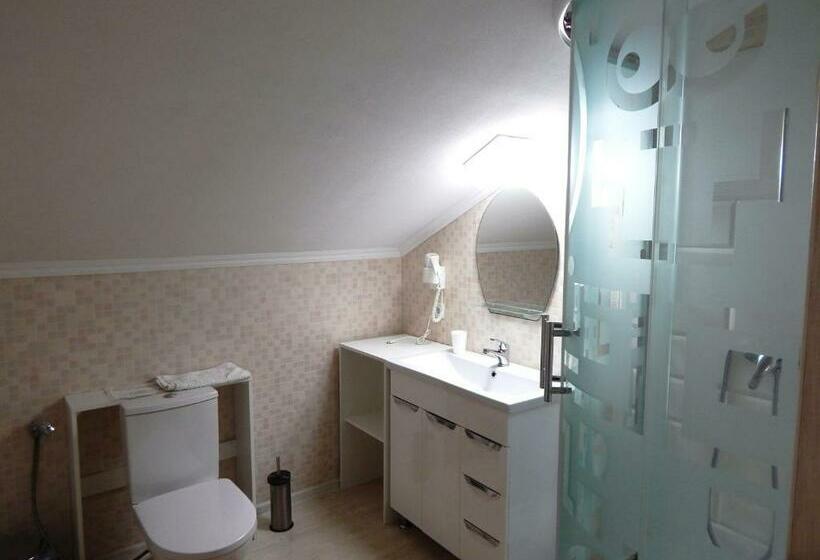 اتاق استاندارد, Guest House Kherson