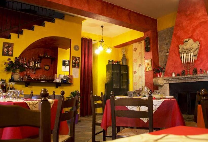 اتاق اکونومی, I Templari