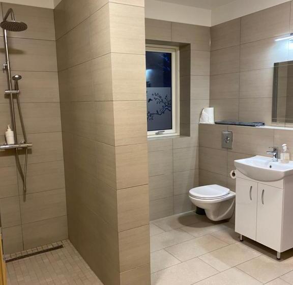 آپارتمان 1 خوابه, Kirkjufell Guesthouse And Apartments