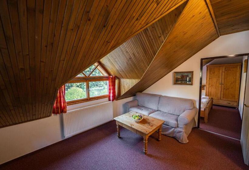 デラックスルーム, Penzion Panský Dům