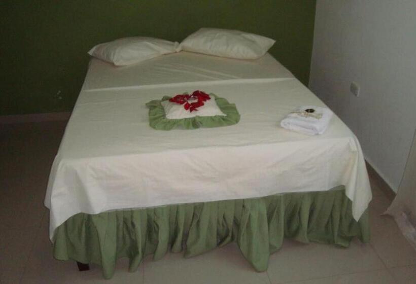 スタンダードシングルルーム, Velices