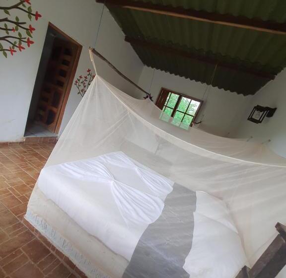 标准间, Hostal Luz De Luna