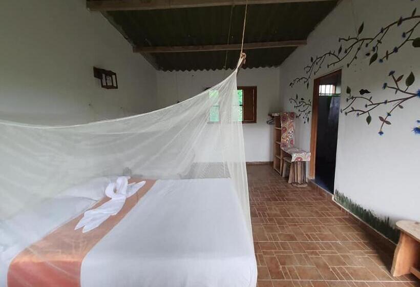 标准间, Hostal Luz De Luna