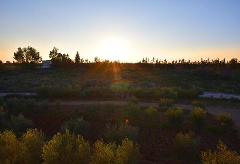 اتاق لوکس, Maison D Hôtes La Ferme Aziza