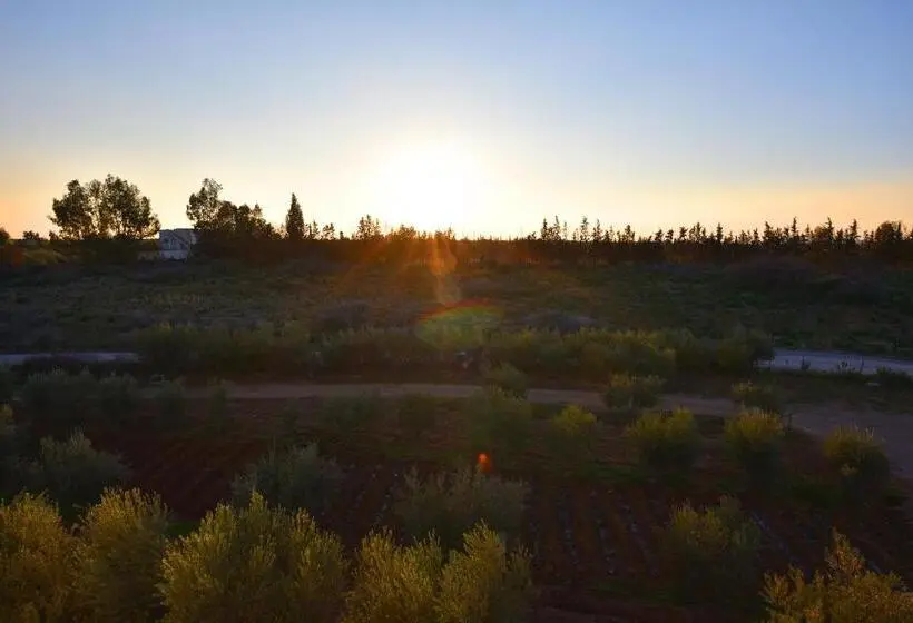 اتاق لوکس, Maison D Hôtes La Ferme Aziza