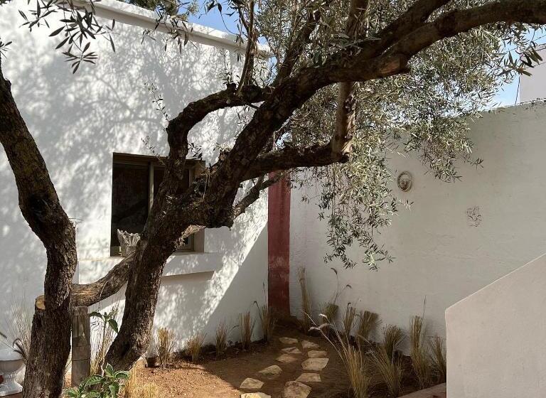 استودیوی لوکس, Maison D Hôtes La Ferme Aziza