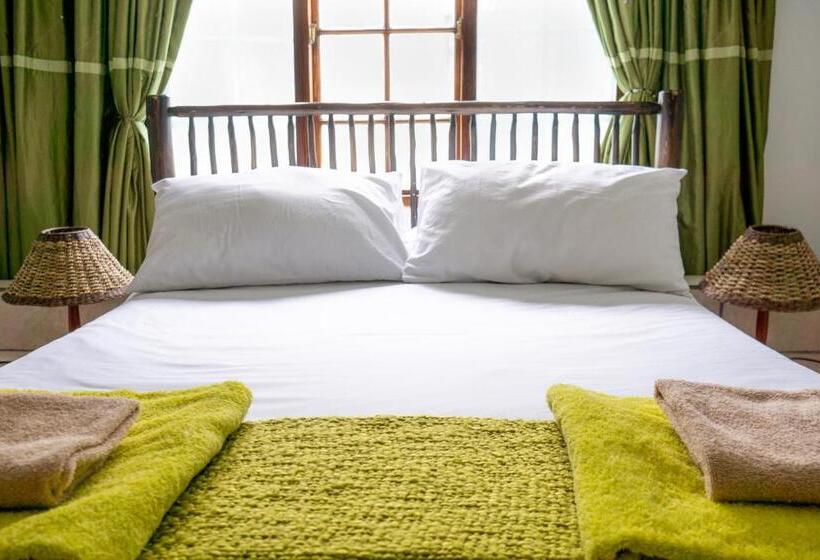 디럭스 룸, C Mew Guest House