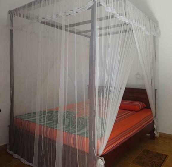 חדר סטנדרט, Surfing Life