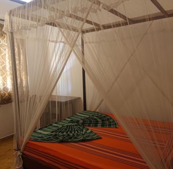 חדר סטנדרט, Surfing Life