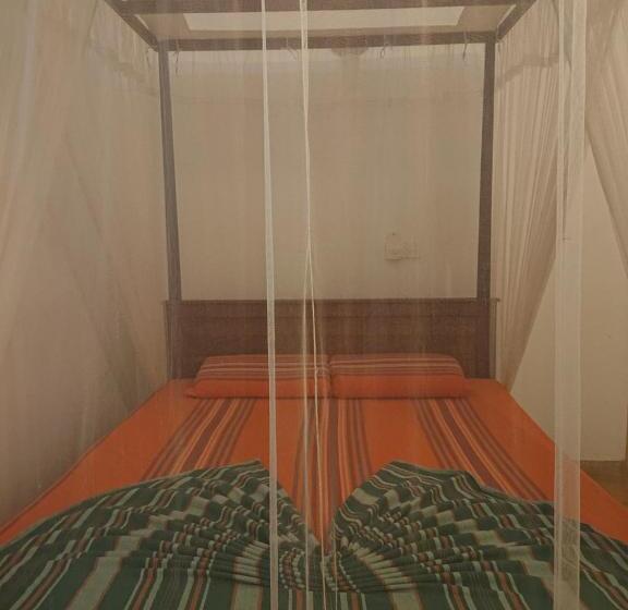 חדר סטנדרט, Surfing Life