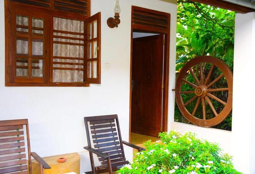 חדר סטנדרט, Surfing Life