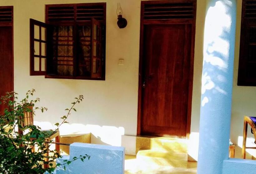 חדר סטנדרט, Surfing Life