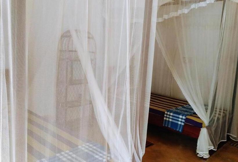 חדר סטנדרט, Surfing Life