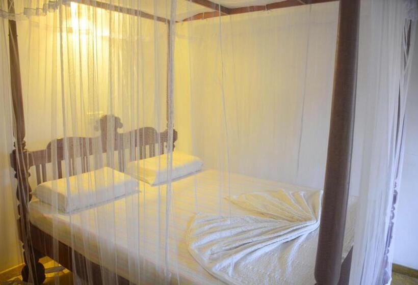 חדר סטנדרט לשלושה, Surfing Life