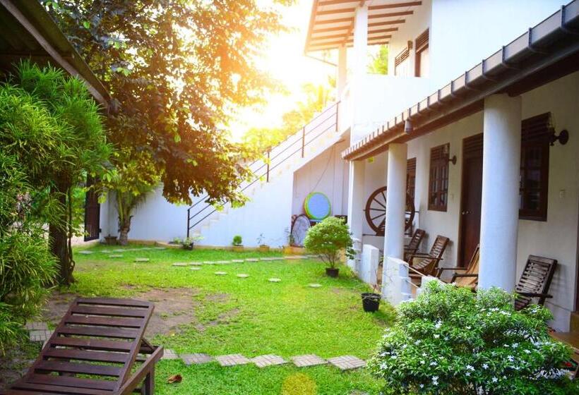 חדר סטנדרט לשלושה, Surfing Life