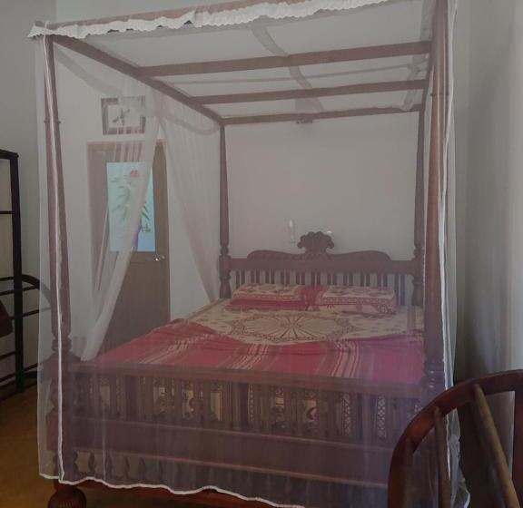 חדר דלוקס עם מרפסת, Surfing Life