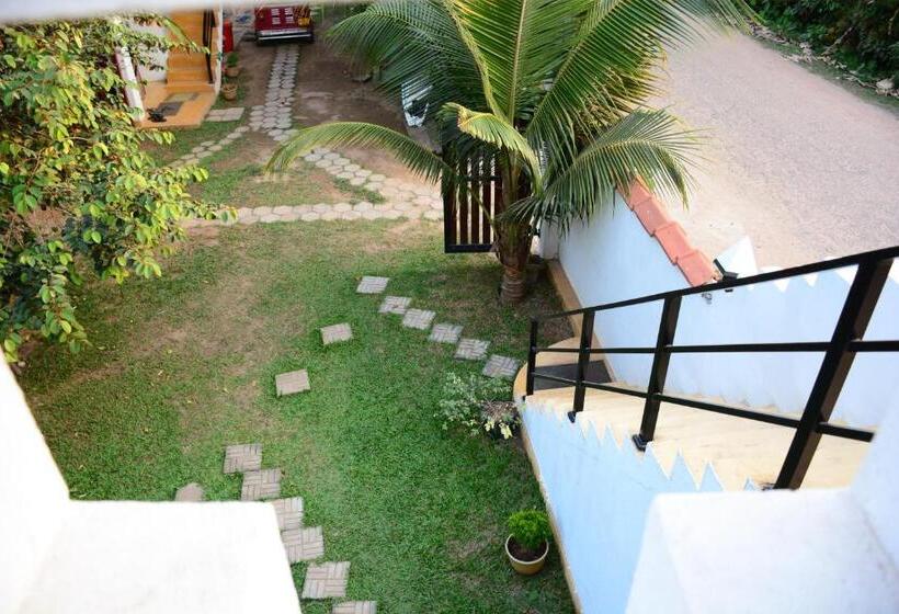 חדר דלוקס עם מרפסת, Surfing Life