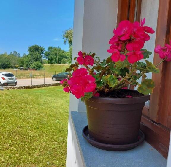 标准间内部标间, El Cuadron