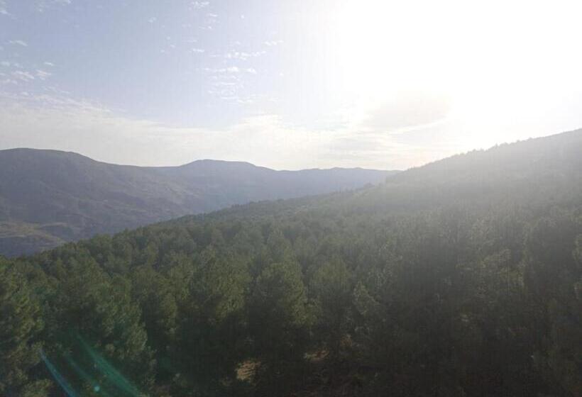 スタンダードルーム, Hostal El Desvío