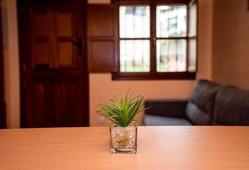 شقة غرفة واحدة, Casa Mariví