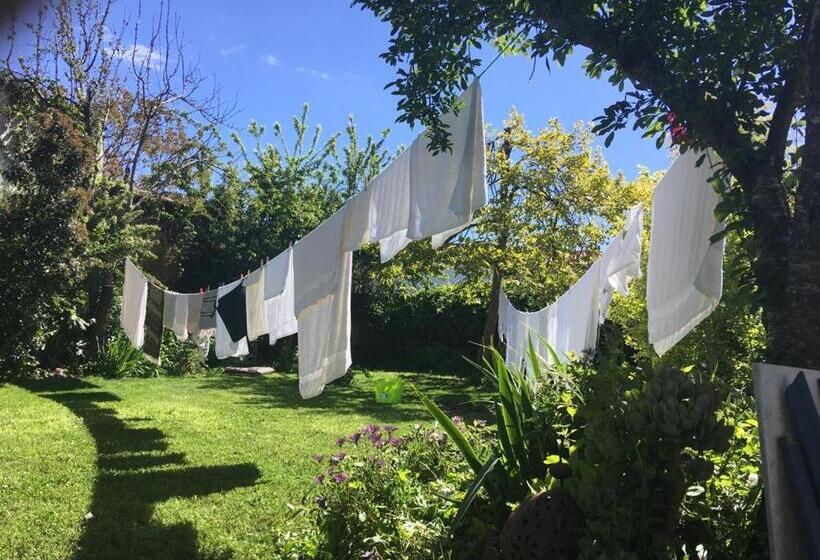 חדר סטנדרט, Posada Del Castaño