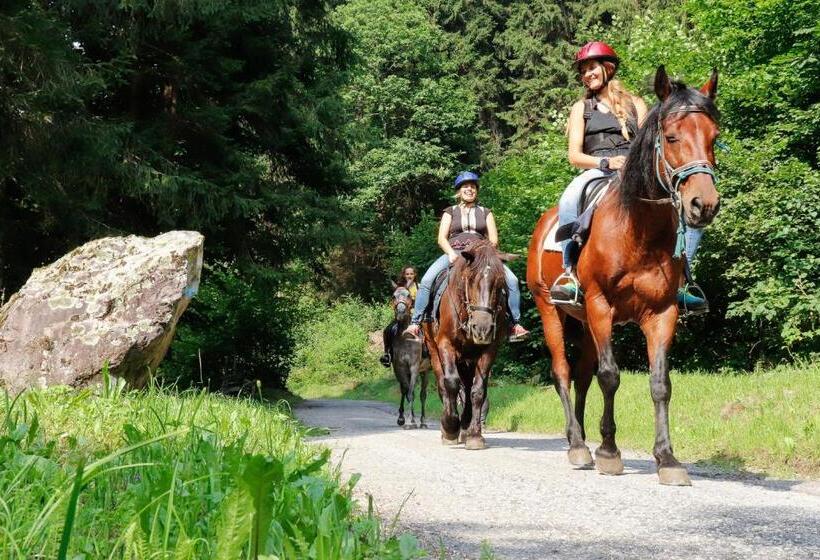 スタンダードシングルルーム, Casa Salvaterra Affittacamere