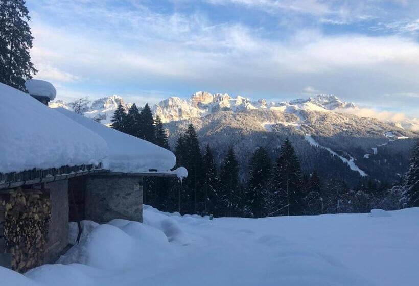 スタンダードシングルルーム, Casa Salvaterra Affittacamere