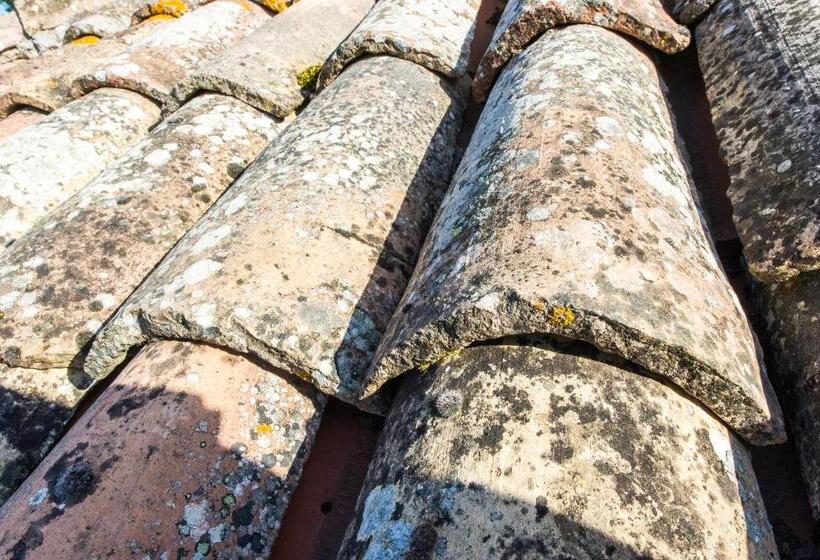 트리플 스탠다드 전망룸, Agriturismo La Corte Del Lupo