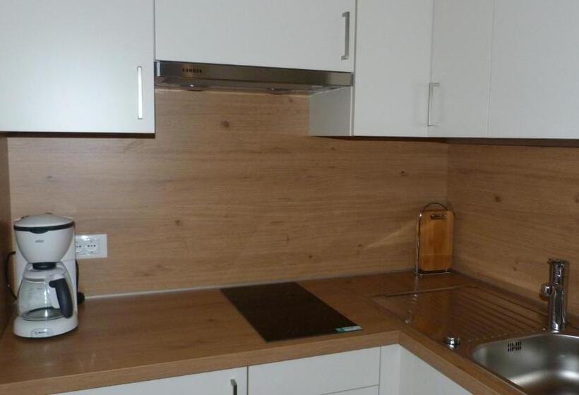 شقة غرفة نوم واحدة بالطابق الأرضى, Pension Runer