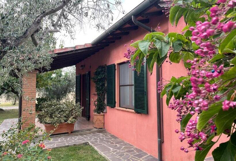 آپارتمان 1 خوابه همکف, Agriturismo Valdo