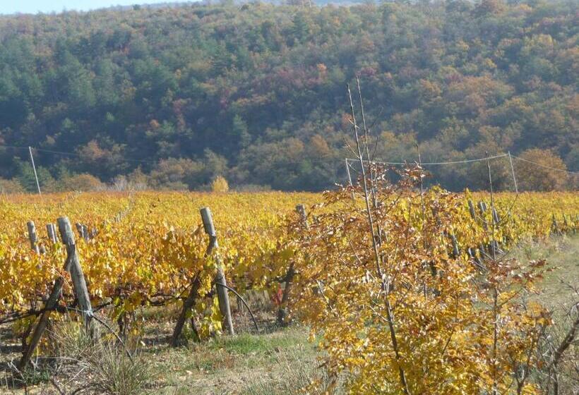 اتاق دوبلکس, Podere Poggio Mendico