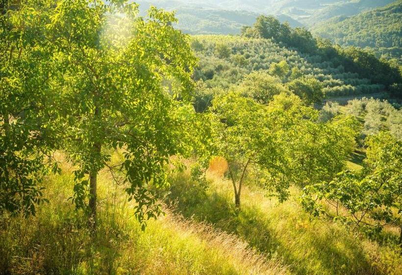 آپارتمان 1 خوابه با چشم‌انداز باغ, Podere Poggio Mendico