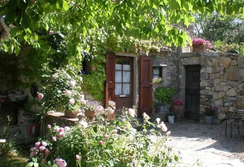 スタンダードルーム, Agriturismo Podere Torre