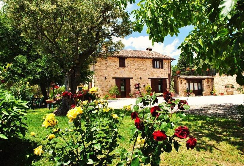 חדר בסיסי, Agriturismo L'antico Oliveto