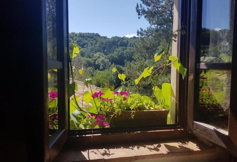 חדר סטנדרט, Agriturismo Santa Giusta