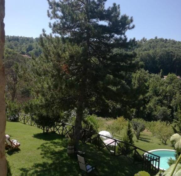 חדר סטנדרט נוף לבריכה, Agriturismo Santa Giusta