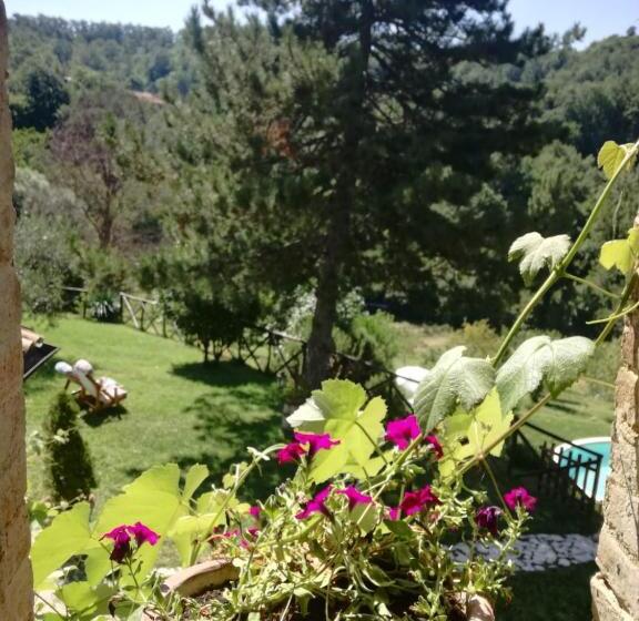 חדר סטנדרט נוף לבריכה, Agriturismo Santa Giusta