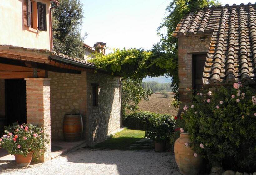 带1个卧室的带阳台的公寓, Agriturismo Borgo Laurice