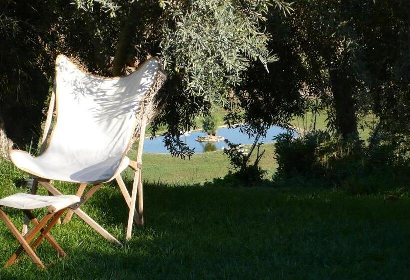 آپارتمان سوپریور 1 خوابه, Tenuta Bartoli Maison De Charme