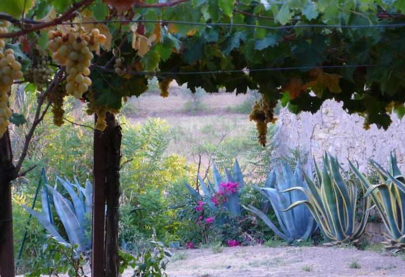 带1个卧室的豪华公寓, Tenuta Bartoli Maison De Charme